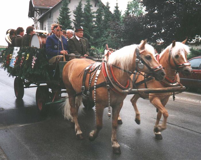 Pferdeweihe Oberrohrbach 2.7.2000
